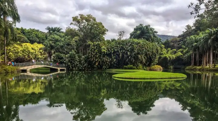 Jardins do Inhotim em Belo Horizonte